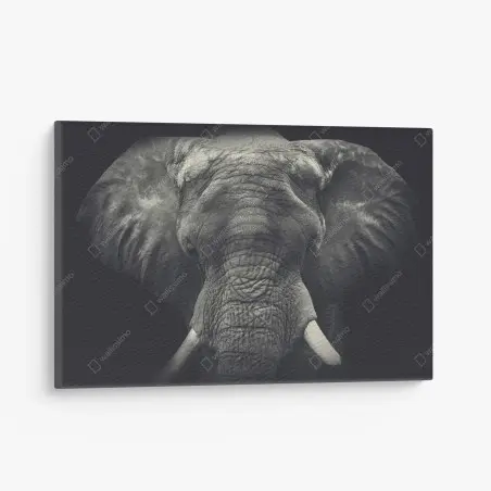 Cuadro en lienzo retrato monocromo de elefante en primer plano – Pixers®