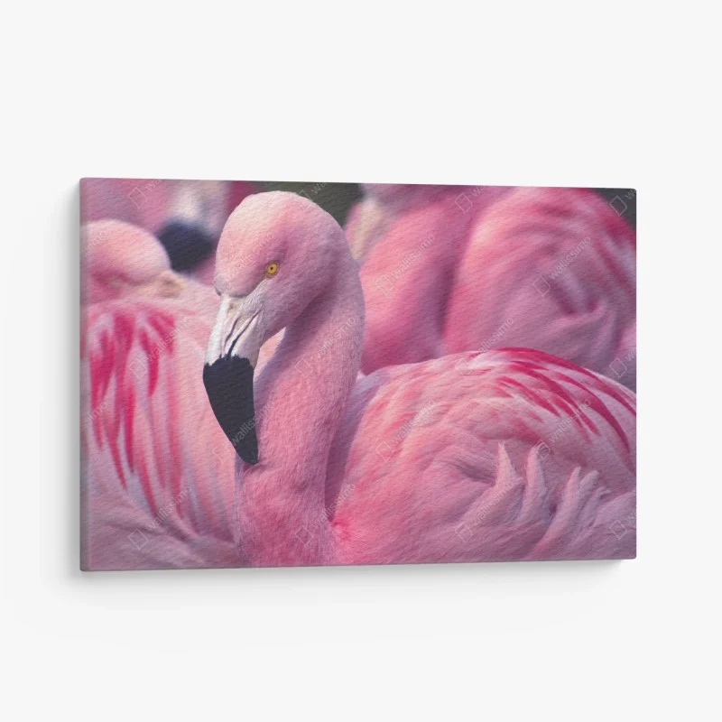 Cuadro en lienzo flamenco rosado en primer plano
