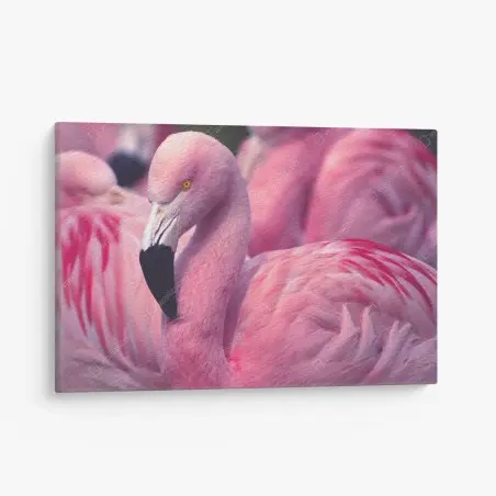 Cuadro en lienzo flamenco rosado en primer plano – Pixers®