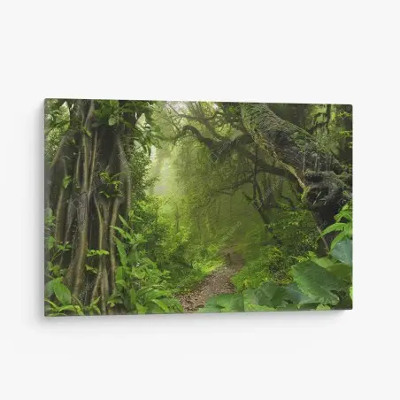 Cuadro en lienzo sendero oculto en la selva esmeralda – Pixers®