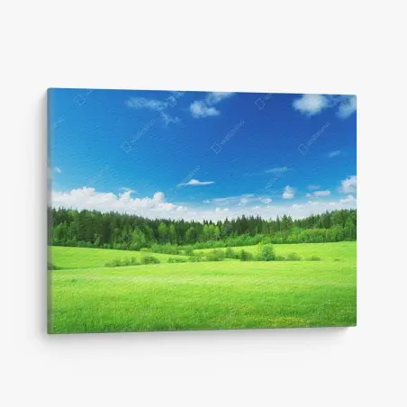 Cuadro en lienzo paisaje primaveral de pradera y bosque – Pixers®