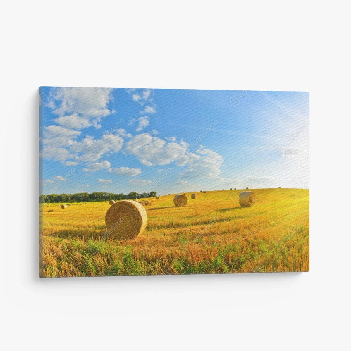 Cuadro en lienzo puesta de sol en el campo con pacas de heno – Pixers® Cuadro en lienzo puesta de sol en el campo con pacas de heno – Pixers®