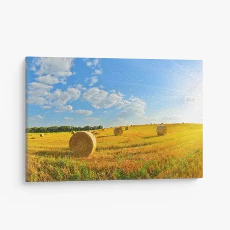 Cuadro en lienzo puesta de sol en el campo con pacas de heno – Pixers®