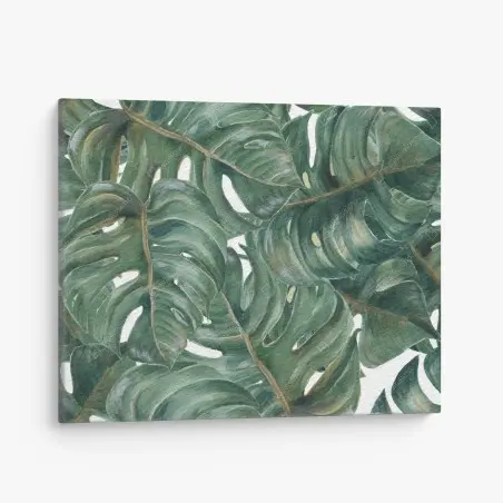 Cuadro en lienzo follaje tropical de hojas de monstera – Pixers®