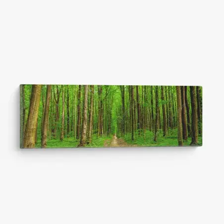 Cuadro en lienzo sendero entre árboles en bosque primaveral – Pixers®