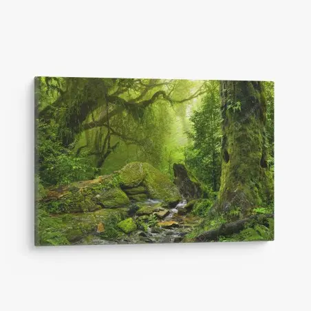 Cuadro en lienzo refugio verde en el bosque – Pixers®