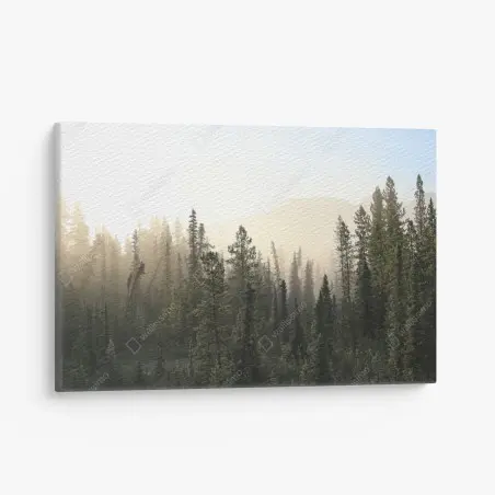 Cuadro en lienzo amanecer entre pinos y niebla – Pixers®
