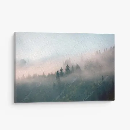 Cuadro en lienzo bosque envuelto en niebla al amanecer – Pixers®