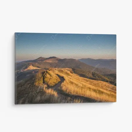 Cuadro en lienzo sendero entre colinas doradas al amanecer – Pixers®