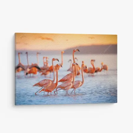 Cuadro en lienzo flamencos al atardecer sobre aguas tranquilas – Pixers®