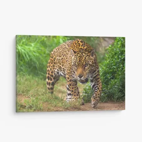 Cuadro en lienzo jaguar acechando en la selva – Pixers®