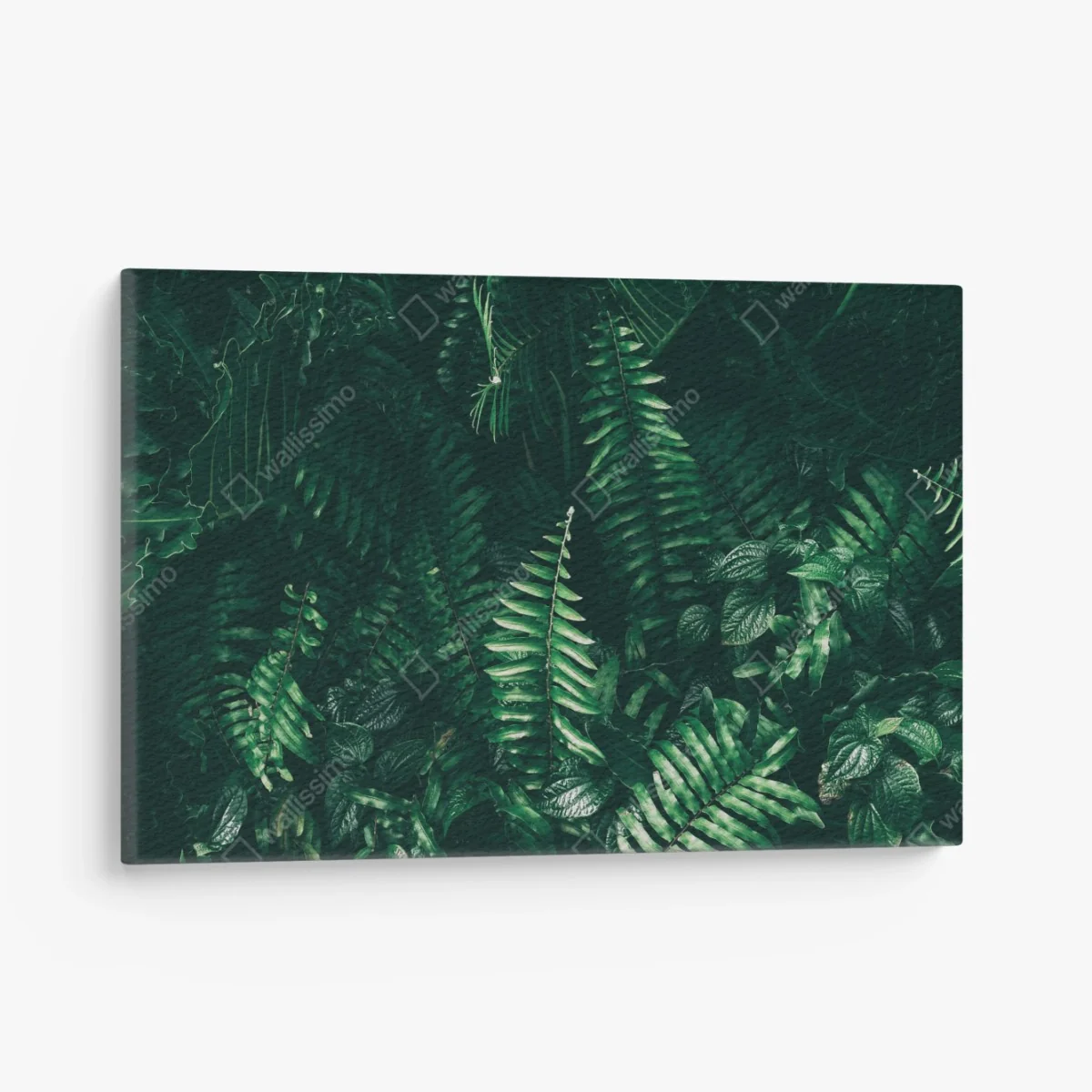 Cuadro en lienzo jardín vertical de hojas tropicales en tono oscuro – Pixers® Cuadro en lienzo jardín vertical de hojas tropicales en tono oscuro – Pixers®