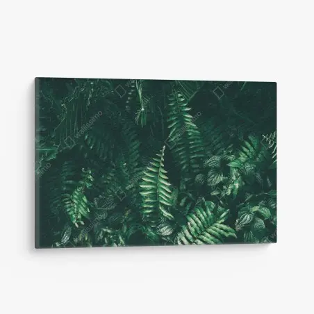 Cuadro en lienzo jardín vertical de hojas tropicales en tono oscuro – Pixers®