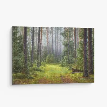 Cuadro en lienzo sendero en bosque de pinos y musgo – Pixers®