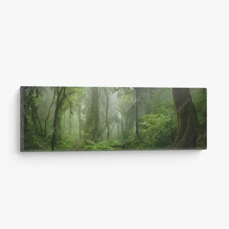 Cuadro en lienzo misterios de la selva del Sudeste Asiático – Pixers®
