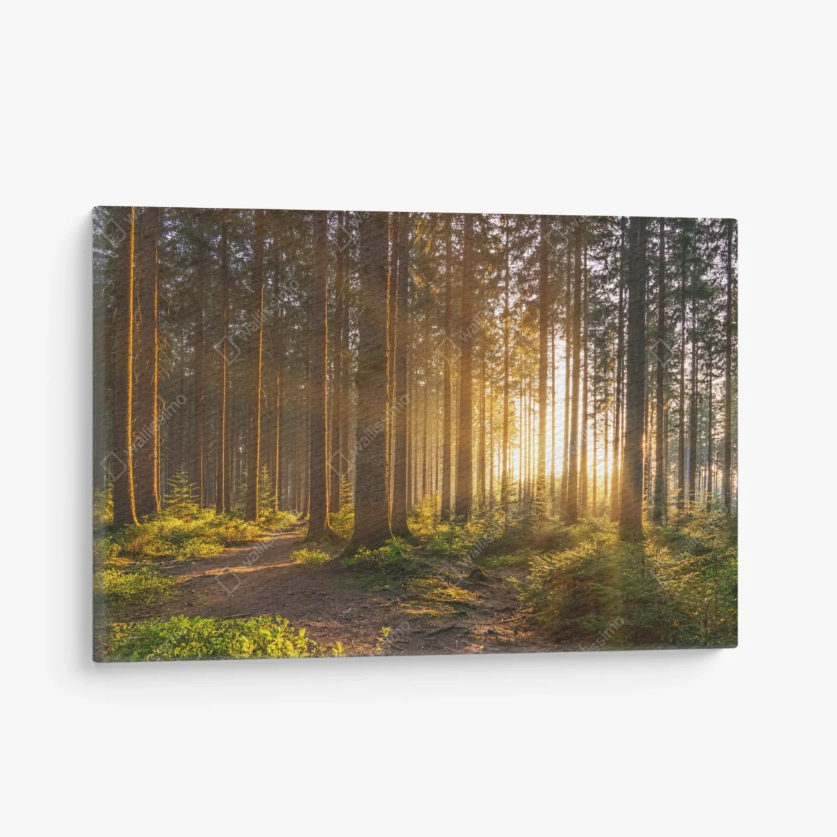 Cuadro en lienzo amanecer dorado en el bosque – Pixers® Cuadro en lienzo amanecer dorado en el bosque – Pixers®