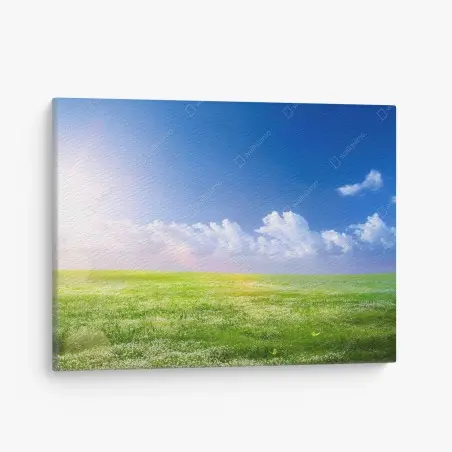 Cuadro en lienzo pradera primaveral bajo cielo azul – Pixers®