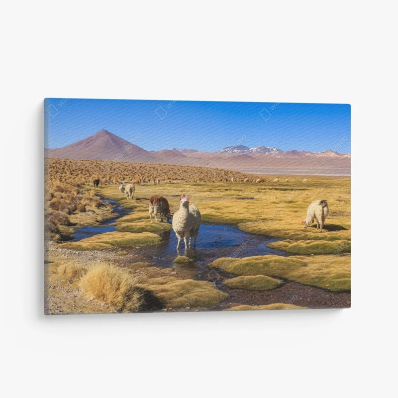 Cuadro en lienzo llamas en el altiplano de los Andes