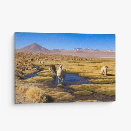 Cuadro en lienzo llamas en el altiplano de los Andes – Pixers®