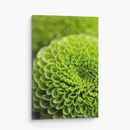 Cuadro en lienzo patrón botánico verde en espiral – Pixers®