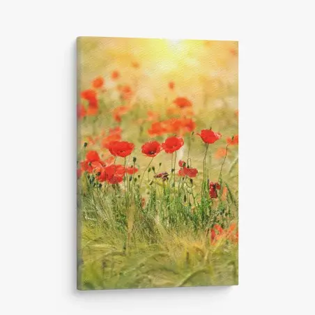 Cuadro en lienzo campo de amapolas al amanecer – Pixers®