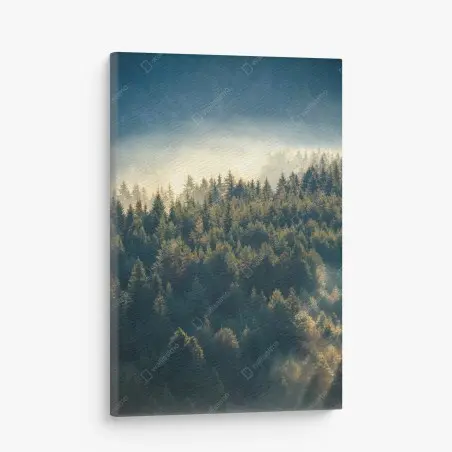 Cuadro en lienzo bosque de pinos en la niebla – Pixers®