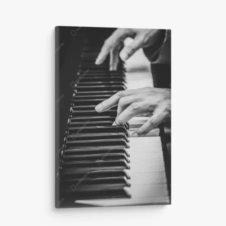 Cuadro en lienzo manos sobre teclado de piano en blanco y negro – Pixers®