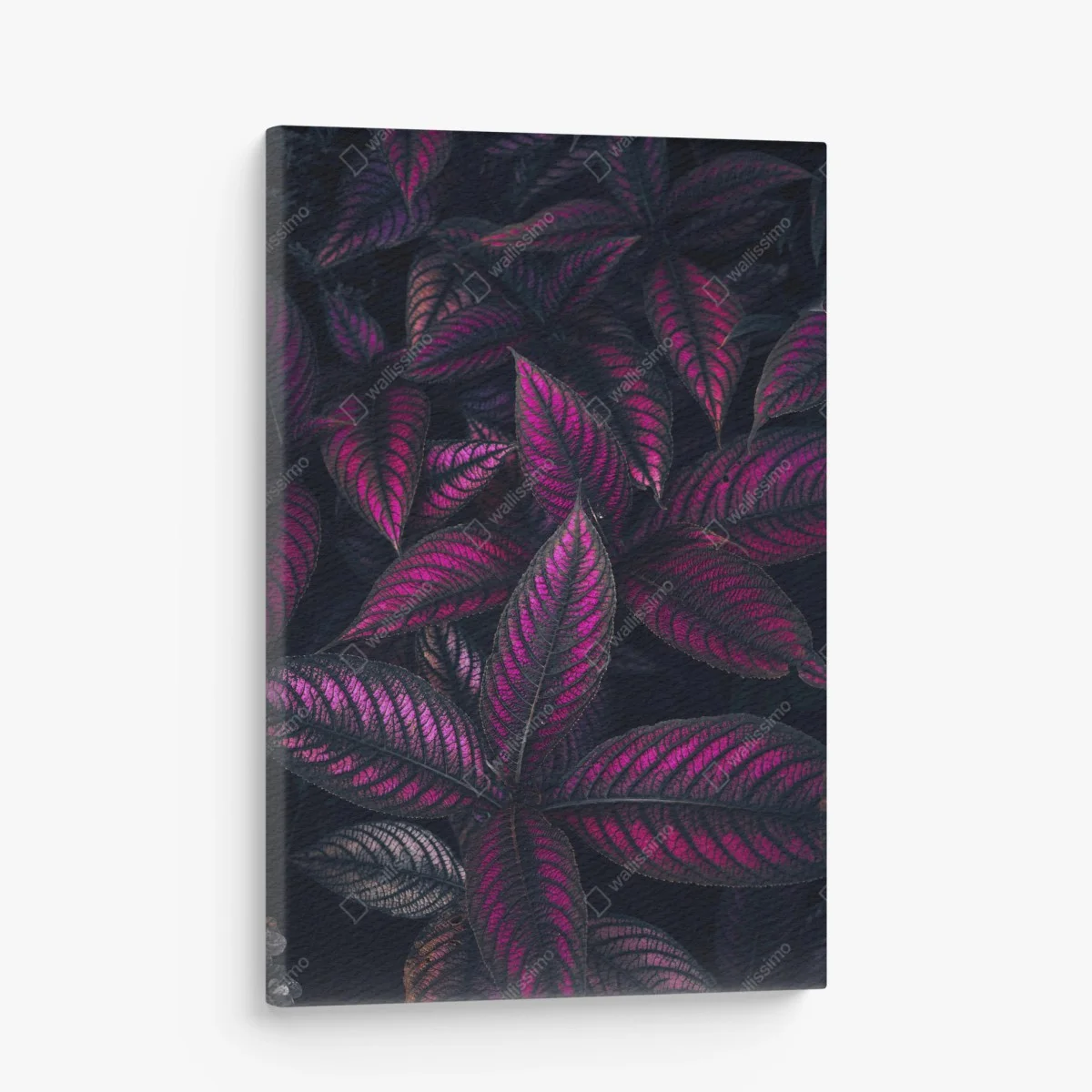 Cuadro en lienzo hojas en tonos magenta y morado – Pixers® Cuadro en lienzo hojas en tonos magenta y morado – Pixers®