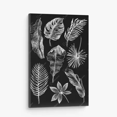 Cuadro en lienzo ilustración de hojas tropicales en blanco y negro – Pixers®