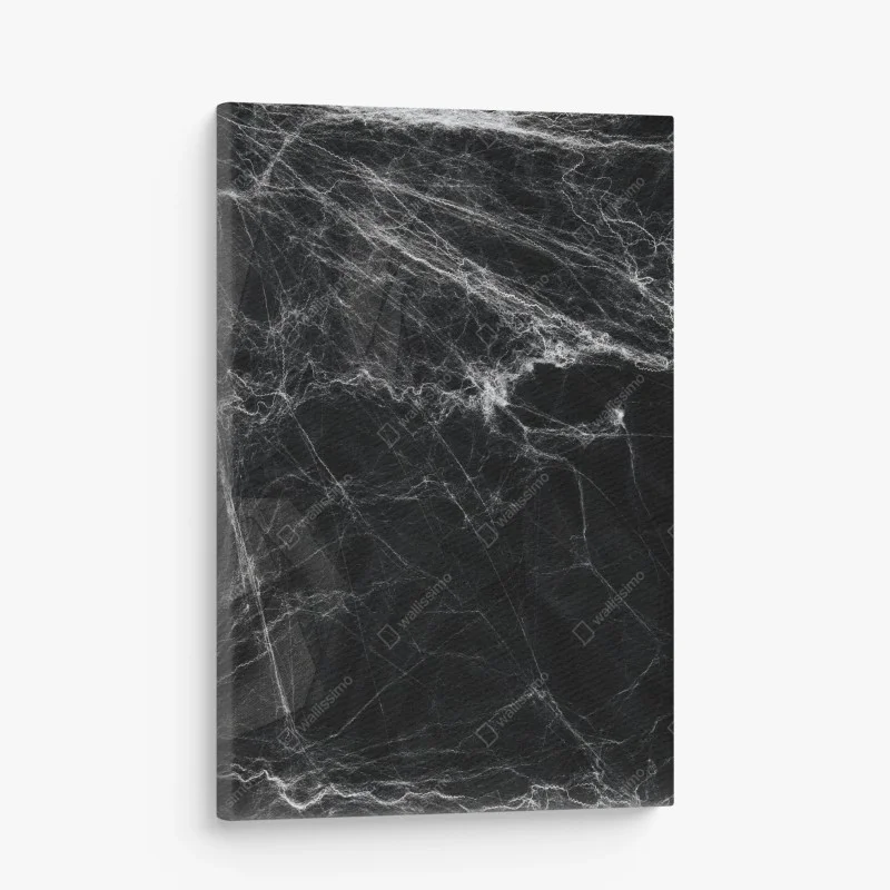 Cuadro en lienzo telaraña fantasmal sobre fondo negro