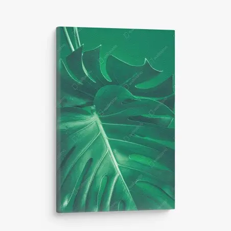 Cuadro en lienzo hoja de monstera en primer plano sobre fondo verde – Pixers®