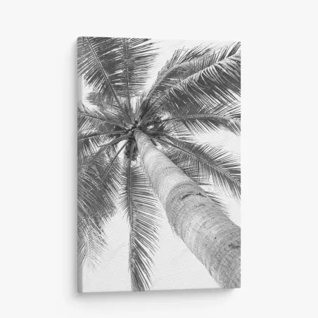 Cuadro en lienzo vértigo de palmera tropical en blanco y negro – Pixers®