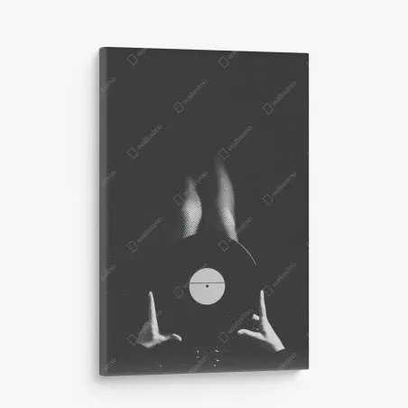 Cuadro en lienzo melodía en sombras y vinilo – Pixers®