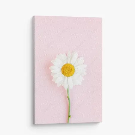 Cuadro en lienzo margarita sobre fondo rosa minimalista – Pixers®