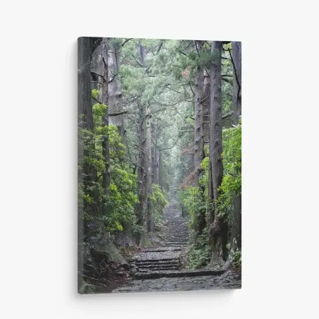 Cuadro en lienzo sendero de piedra en bosque milenario – Pixers®