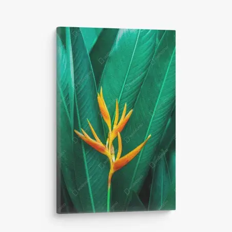 Cuadro en lienzo flor tropical vibrante sobre follaje verde – Pixers®