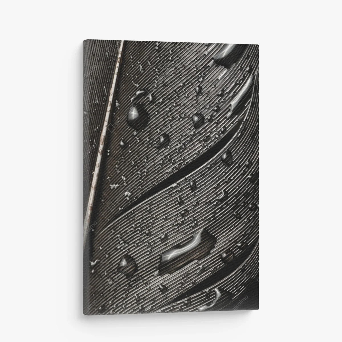 Cuadro en lienzo textura de pluma en blanco y negro con gotas – Pixers® Cuadro en lienzo textura de pluma en blanco y negro con gotas – Pixers®