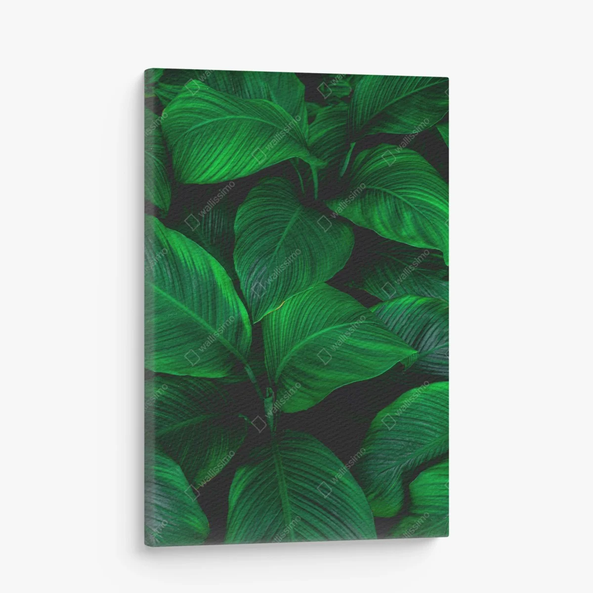 Cuadro en lienzo follaje tropical en tonos verdes intensos – Pixers® Cuadro en lienzo follaje tropical en tonos verdes intensos – Pixers®