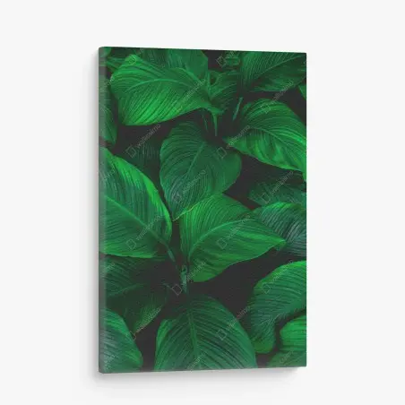 Cuadro en lienzo follaje tropical en tonos verdes intensos – Pixers®