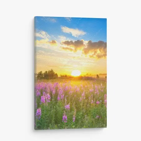 Cuadro en lienzo amanecer en pradera florecida – Pixers®