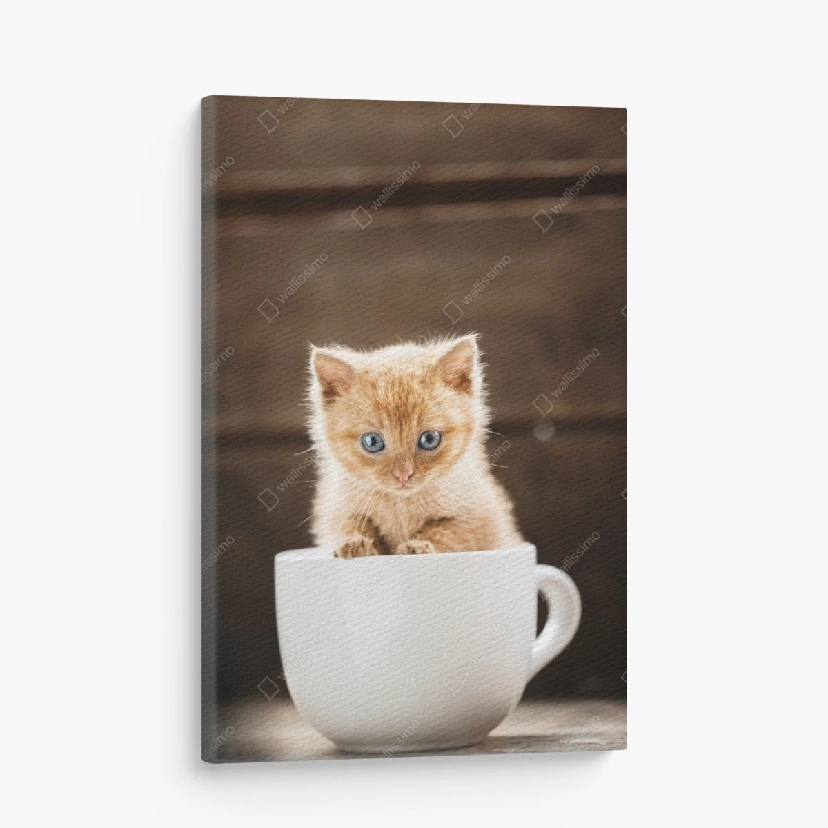 Cuadro en lienzo gatito pelirrojo en taza sobre fondo rústico – Pixers® Cuadro en lienzo gatito pelirrojo en taza sobre fondo rústico – Pixers®