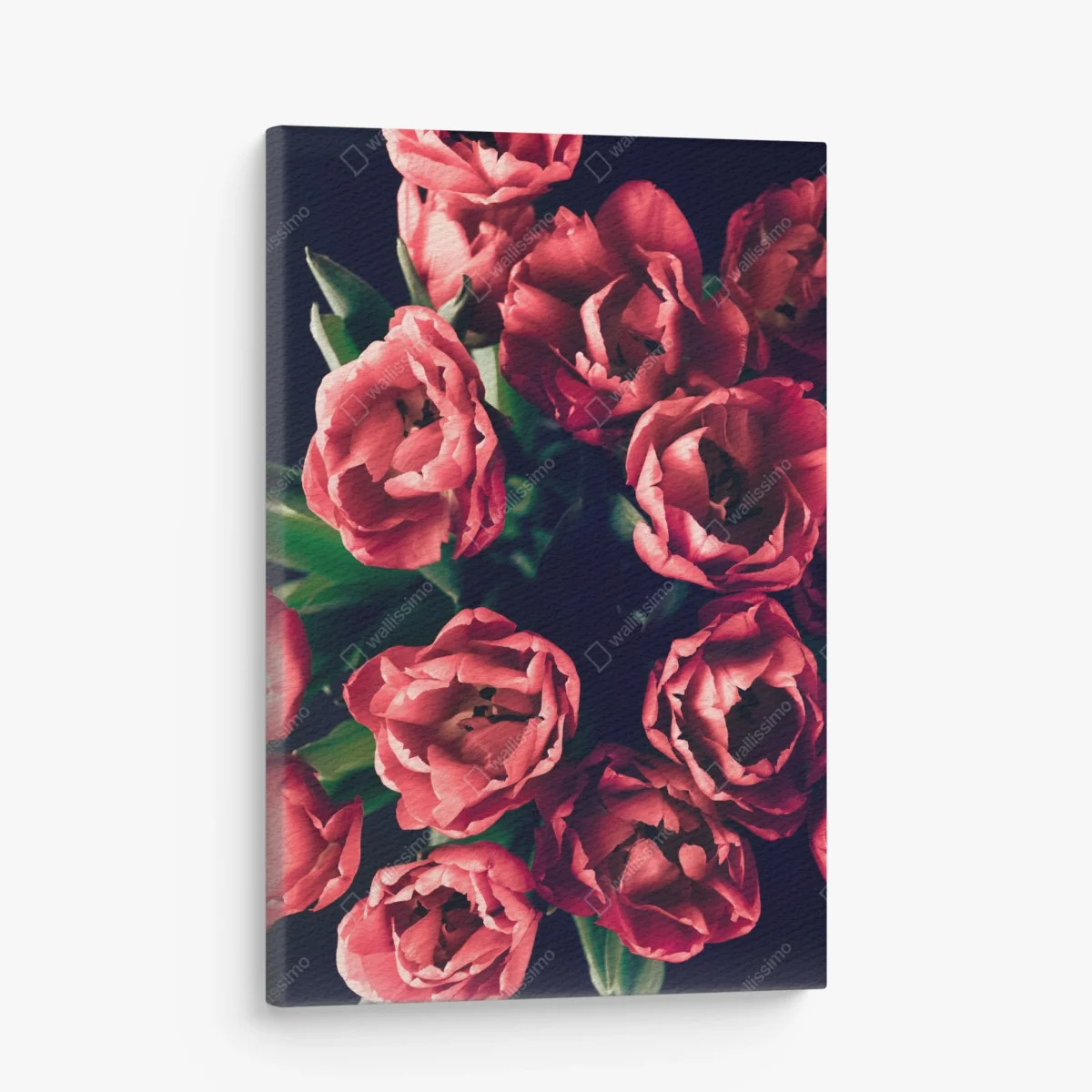 Cuadro en lienzo tulipanes rojos sobre fondo oscuro – Pixers® Cuadro en lienzo tulipanes rojos sobre fondo oscuro – Pixers®