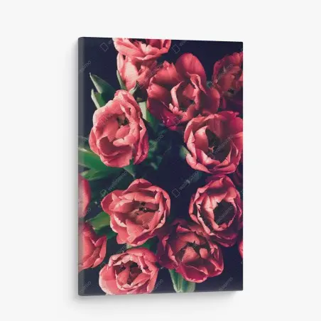Cuadro en lienzo tulipanes rojos sobre fondo oscuro – Pixers®
