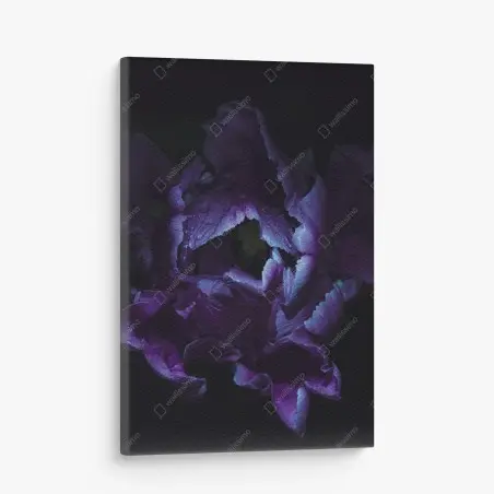 Cuadro en lienzo tulipán púrpura en luz ultravioleta – Pixers®