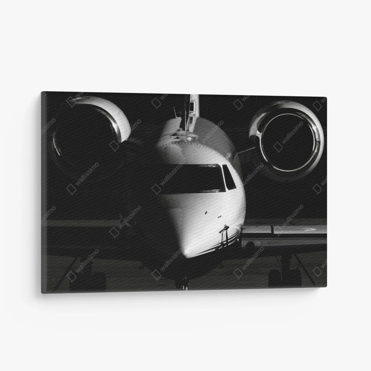 Cuadro en lienzo avión privado en primer plano en blanco y negro – Pixers® Cuadro en lienzo avión privado en primer plano en blanco y negro – Pixers®