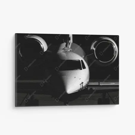Cuadro en lienzo avión privado en primer plano en blanco y negro – Pixers®