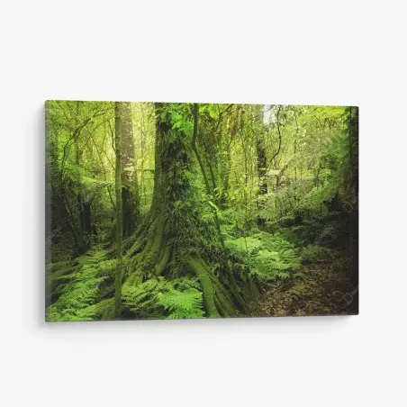 Cuadro en lienzo selva esmeralda: paisaje verde exuberante – Pixers®