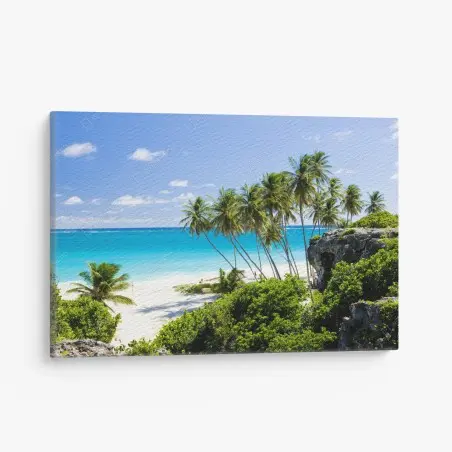 Cuadro en lienzo bahía paradisíaca en Bottom Bay, Barbados – Pixers®