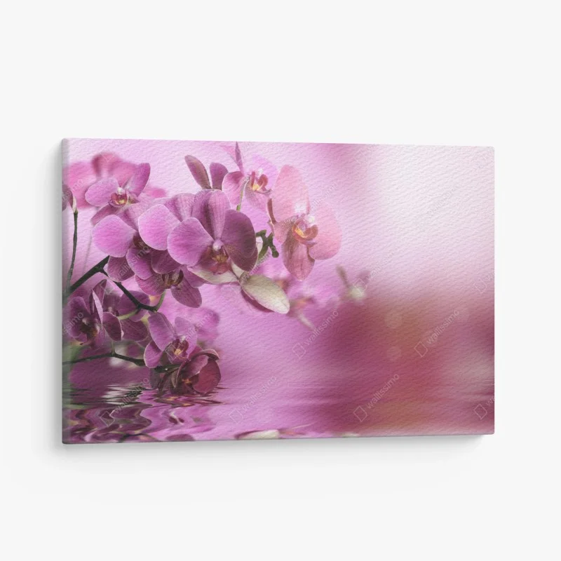 Cuadro en lienzo orquídeas rosadas en reflejo acuático