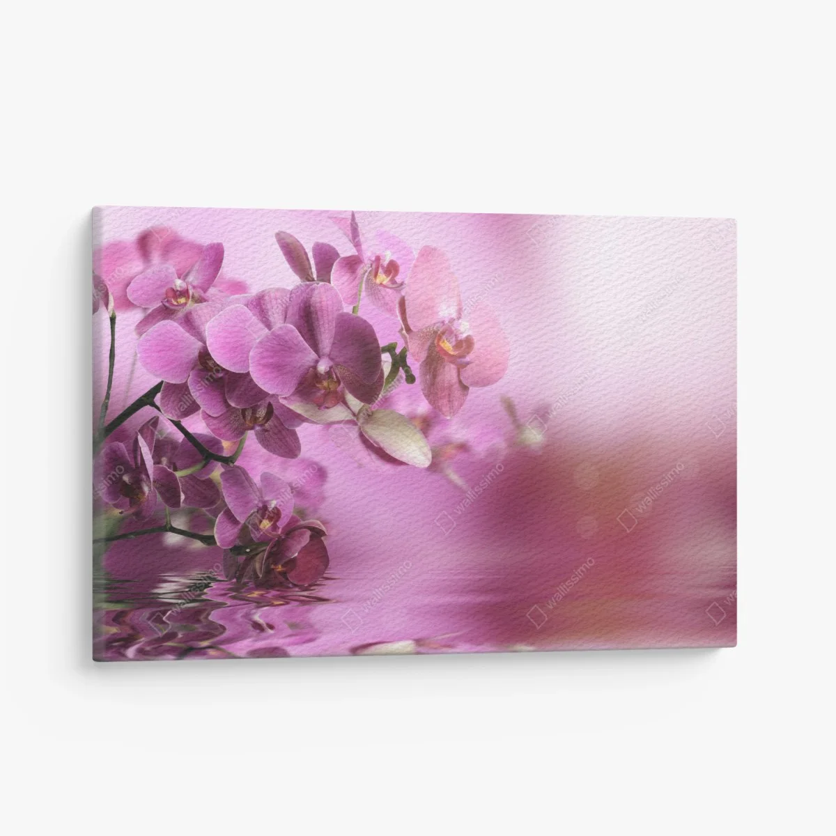 Cuadro en lienzo orquídeas rosadas en reflejo acuático – Pixers® Cuadro en lienzo orquídeas rosadas en reflejo acuático – Pixers®